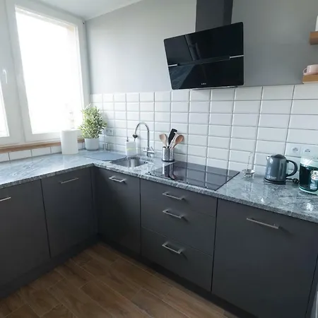 Apartament Studzienna *